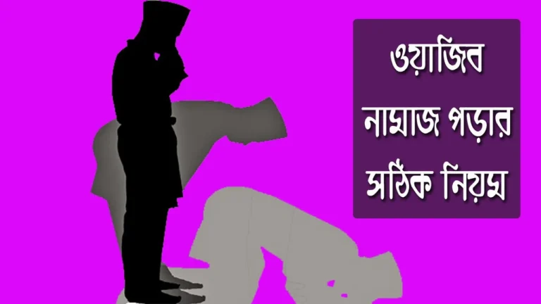 বেতরের নামাজ আদায় করার নিয়ম বেতরের নামাজ আদায় করার নিয়ম | নামাজ শিক্ষা