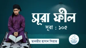 সূরা ফীল সূরা ফীল